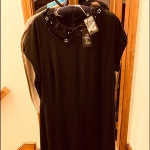 Little Black Dress with velvet collar.